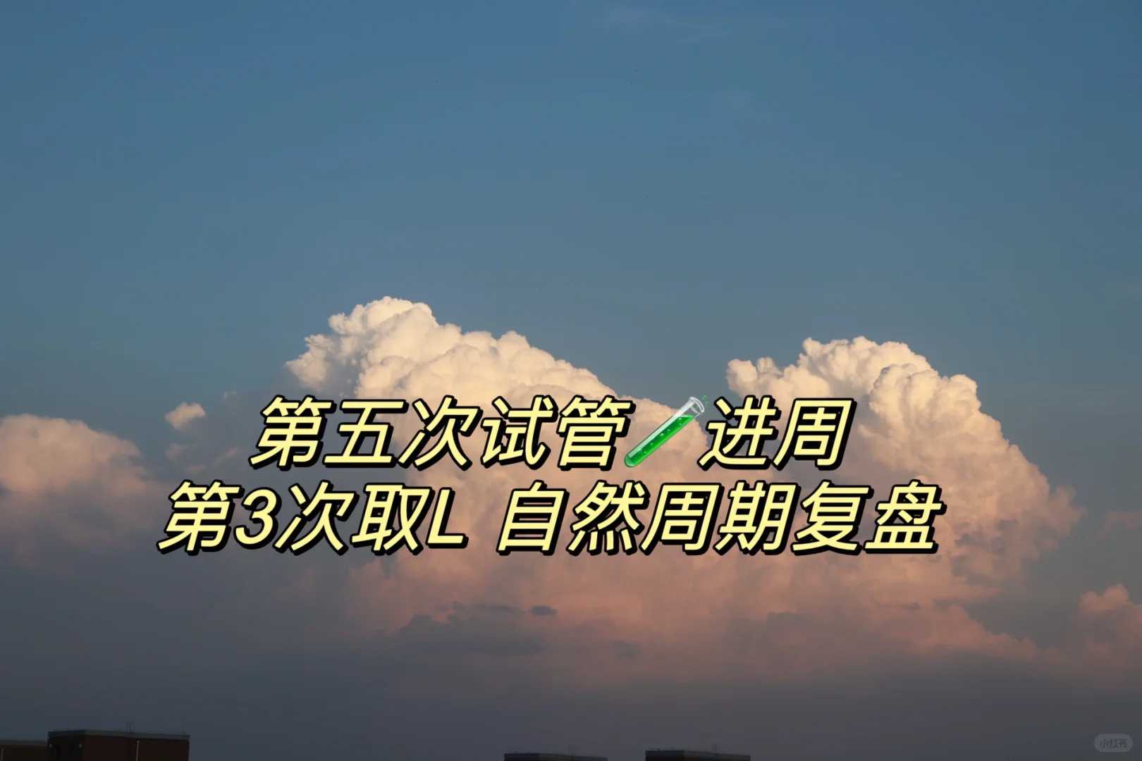 被拒多次后，我靠这份供卵助孕套餐成功怀孕